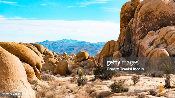 joshua tree boulders - joshua tree national park california stock pictures, royalty-free photos & images
