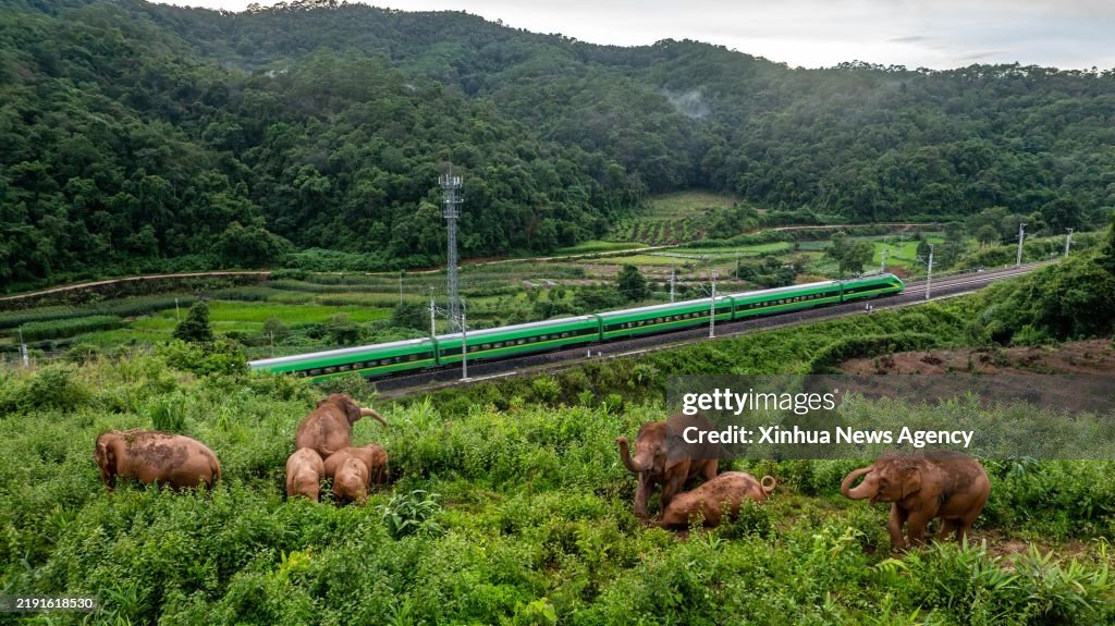 XINHUA-PICTURES OF THE YEAR 2024-AERIAL PHOTO