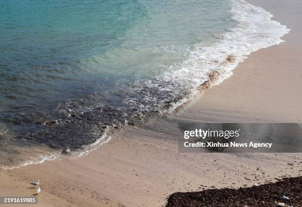 This photo taken on Oct. 16, 2024 shows debris washed ashore on Coogee Beach in Sydney, Australia. The popular Coogee Beach in eastern Sydney was...
