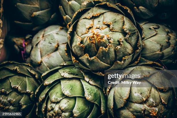fresh organic artichokes stack close-up for culinary inspiration and healthy living. - superfood stock-fotos und bilder