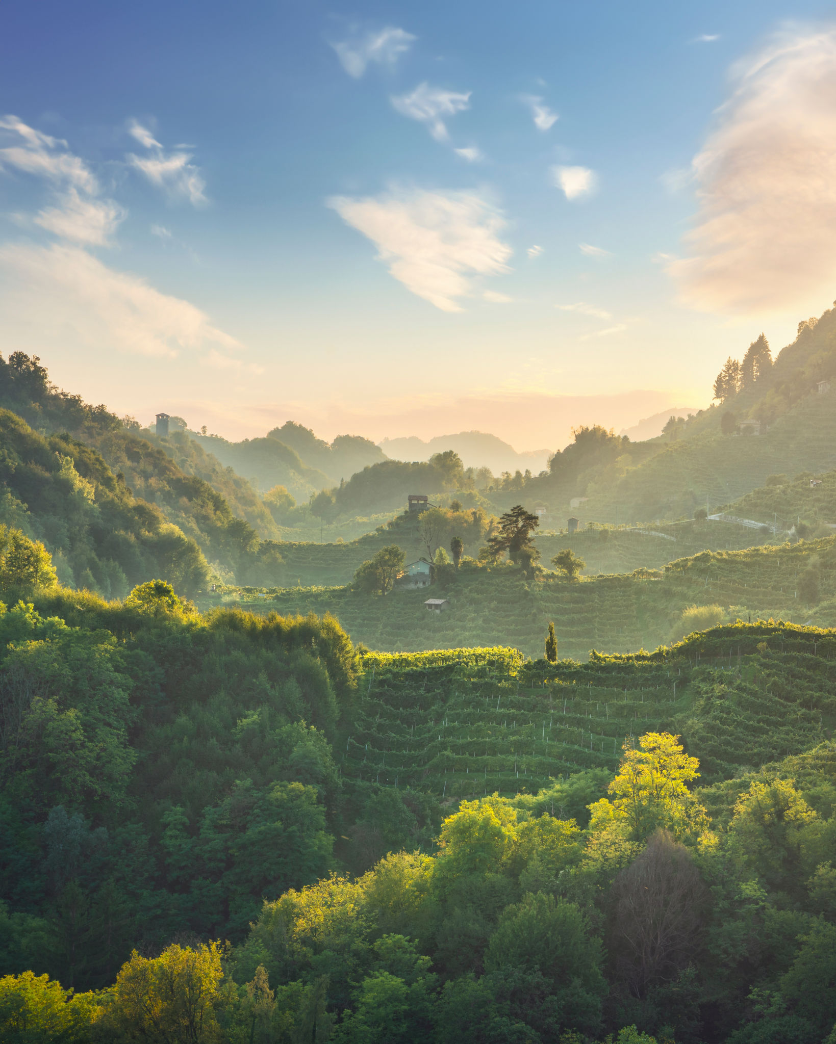 prosecco hills