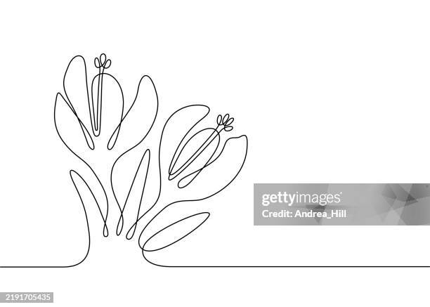crocus flower single line drawing wih copy space and editable stroke for easy editing - crocus stock illustrations