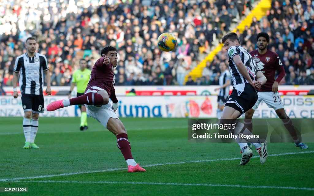 Udinese v Torino - Serie A