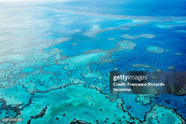 natural textures of great barrier reef from above, queensland, australia. - great barrier reef stock-fotos und bilder