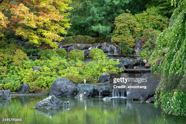 wasserfälle im japanischen garten im botanischen garten von montreal - japanischer garten stock-fotos und bilder
