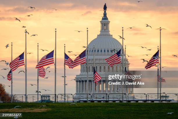 Flags on the National Mall fly at half-staff at daybreak with the U.S. Capitol in the background in honor of the passing of former U.S. President...