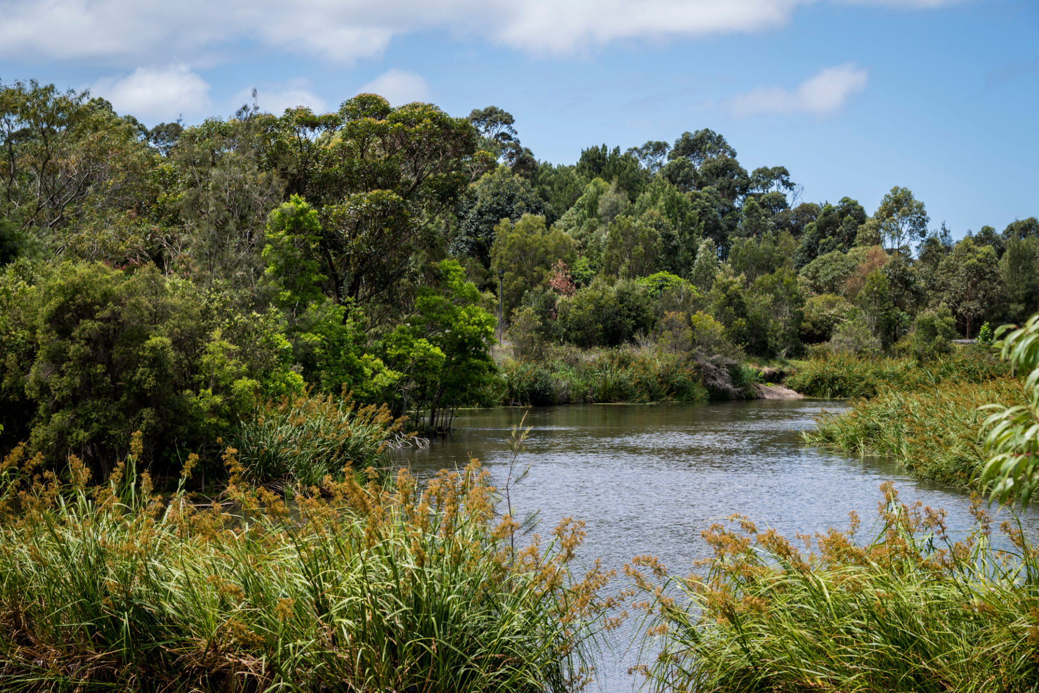 sydney park
