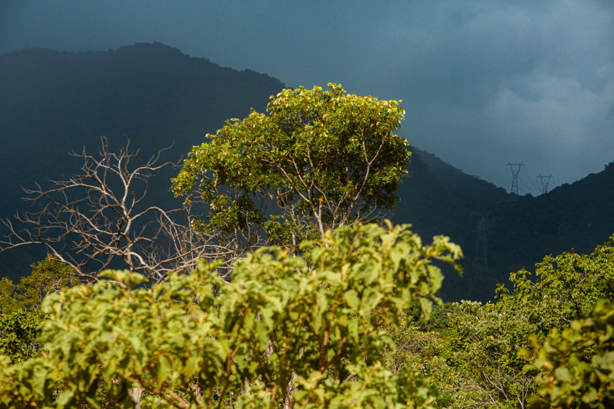 paisagem serra