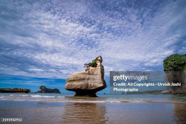 rock formation at cathedral cove - coromandel peninsula stock pictures, royalty-free photos & images