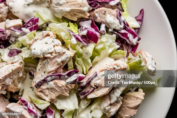 a close-up shot of a plate of chicken salad with chopped red cabbage - cabbage stock pictures, royalty-free photos & images