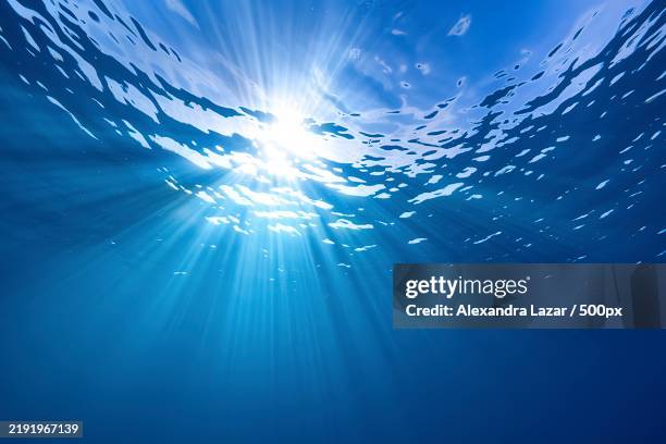 a mesmerizing underwater scene capturing the suns rays piercing through the waters surface - subacqueo foto e immagini stock
