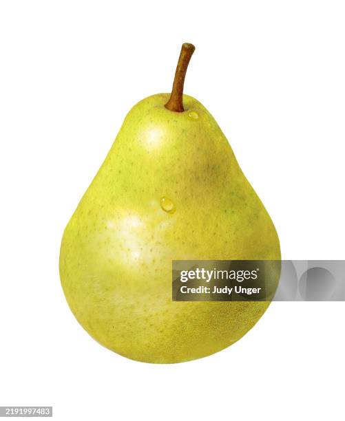 ilustraciones, imágenes clip art, dibujos animados e iconos de stock de pera - amarillo bartlett - pera