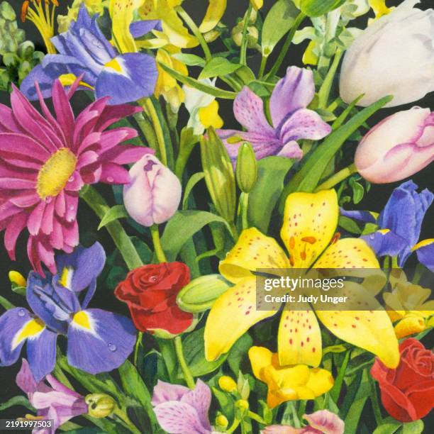spring flowers - iris flower stock illustrations
