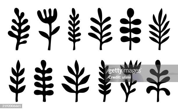 ilustraciones, imágenes clip art, dibujos animados e iconos de stock de plantas dibujadas a mano - helecho