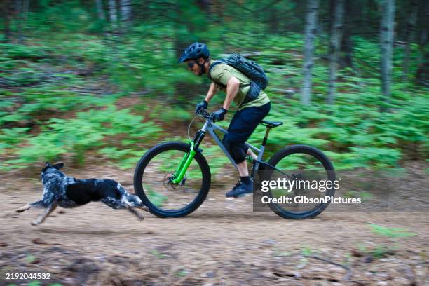 mountain bike dog ride - mens cycling stock pictures, royalty-free photos & images