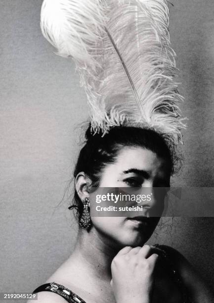 the ostrich feather. - pena de avestruz imagens e fotografias de stock