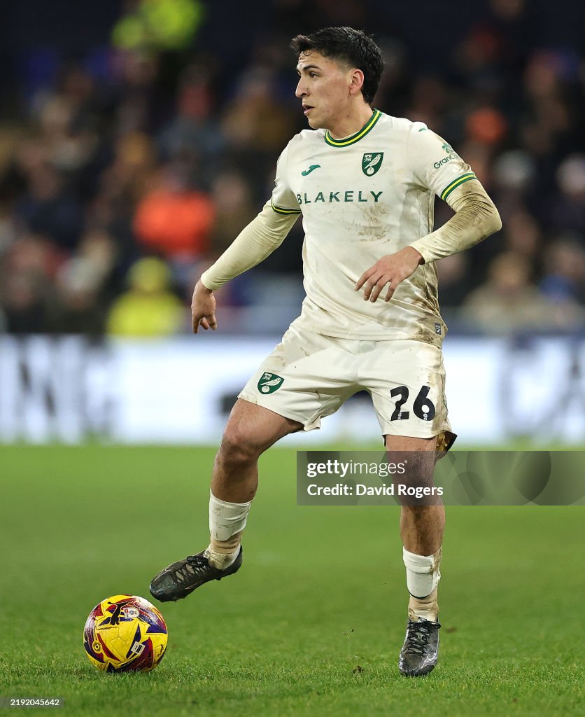 Luton Town FC v Norwich City FC - Sky Bet Championship
