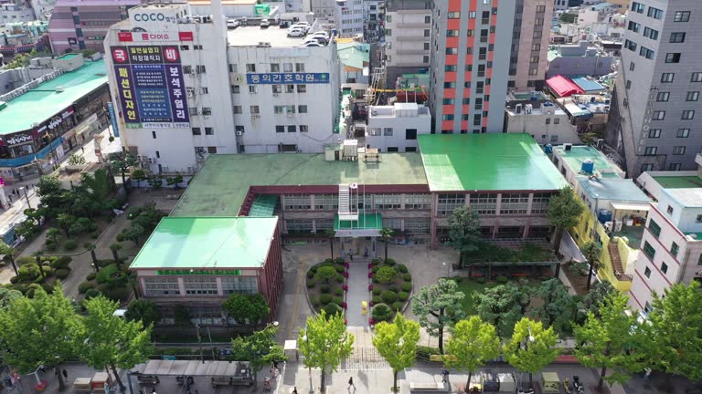Busan Library 70 Municipal Library Stock Videos, Footage, & 4K Video Clips - Getty Images