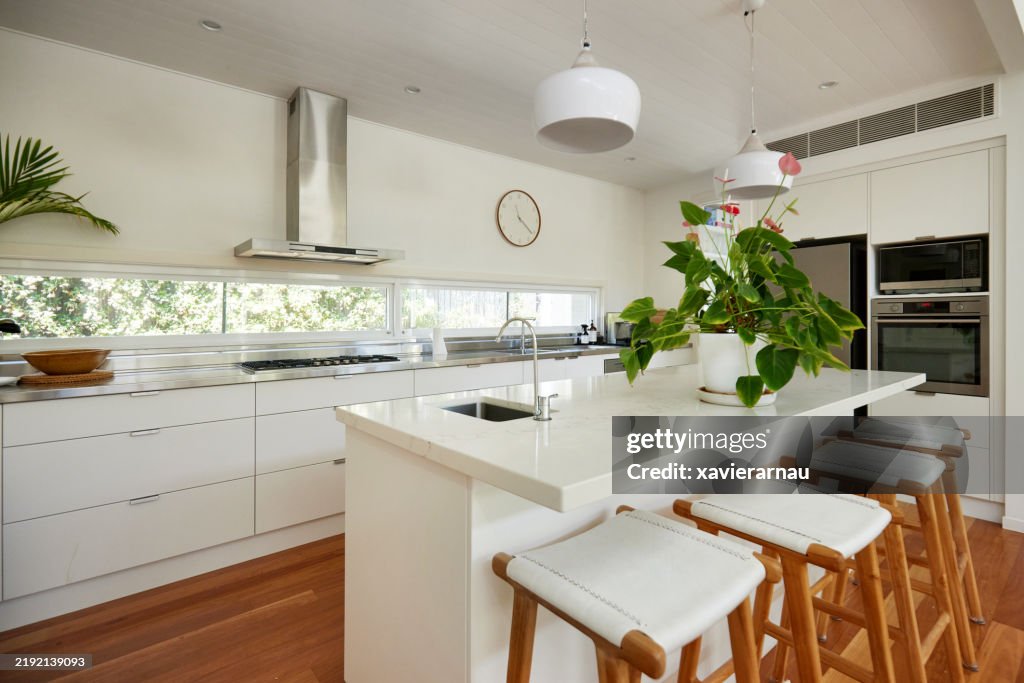 Domestic kitchen in modern home