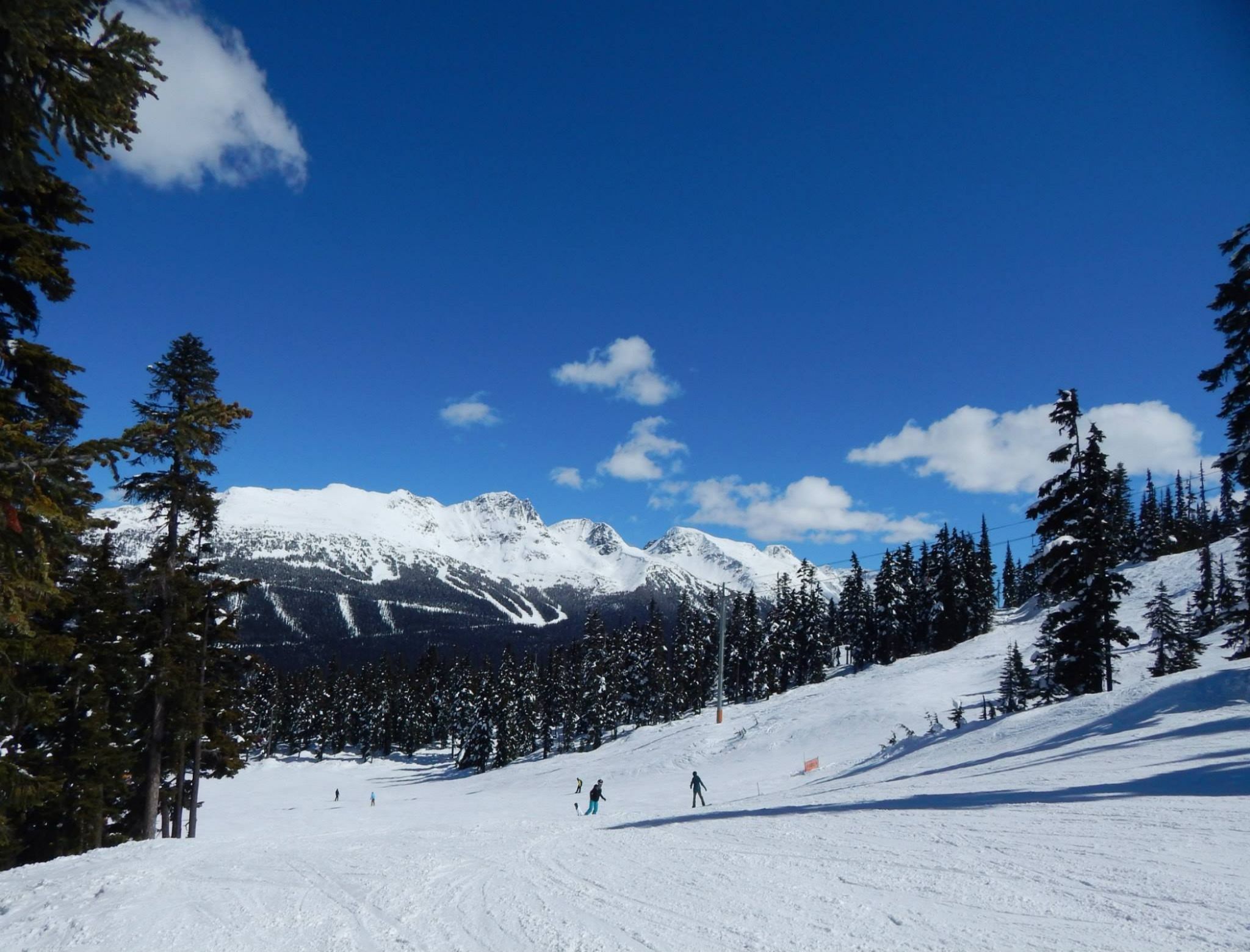 whistler skiing