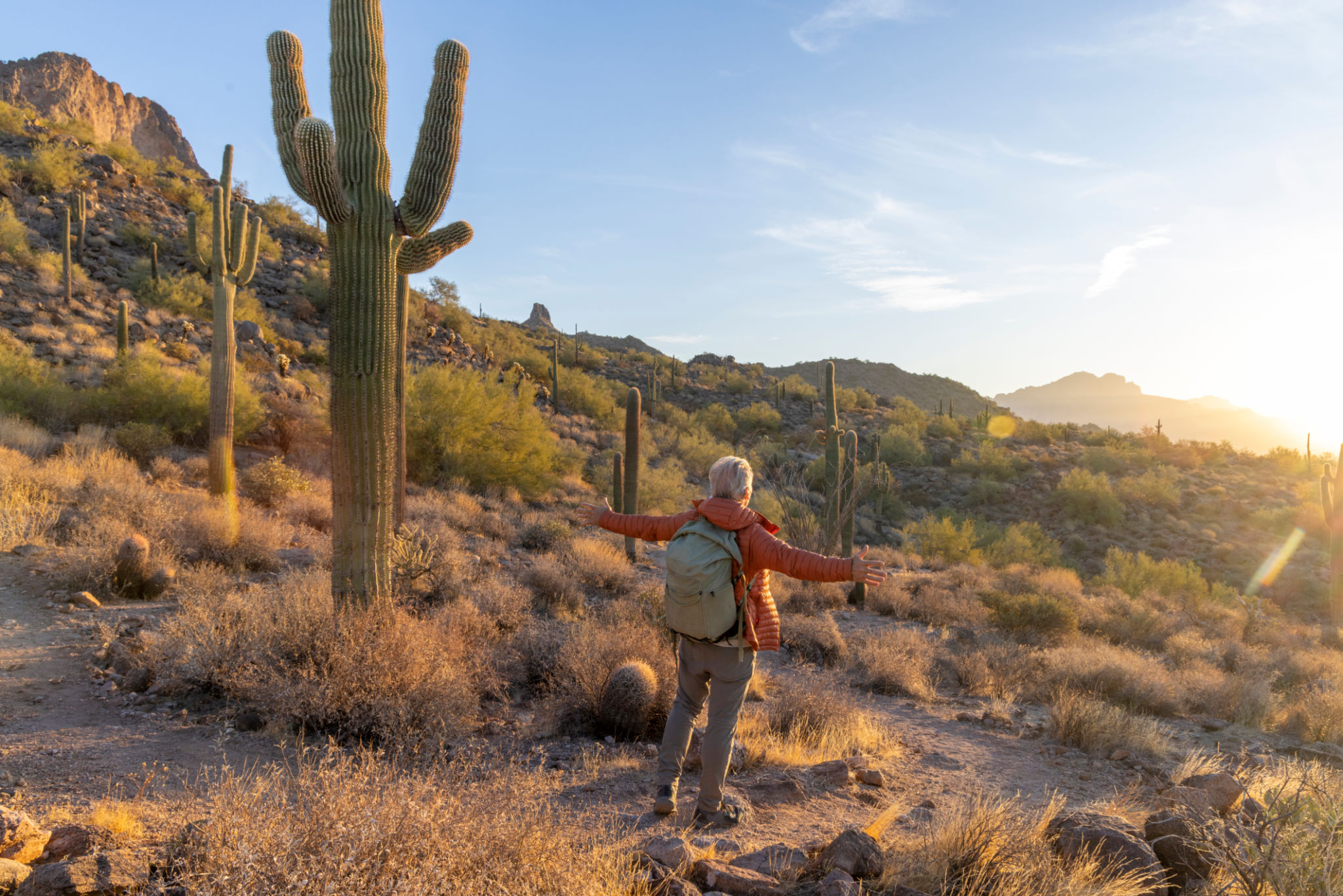 phoenix winter