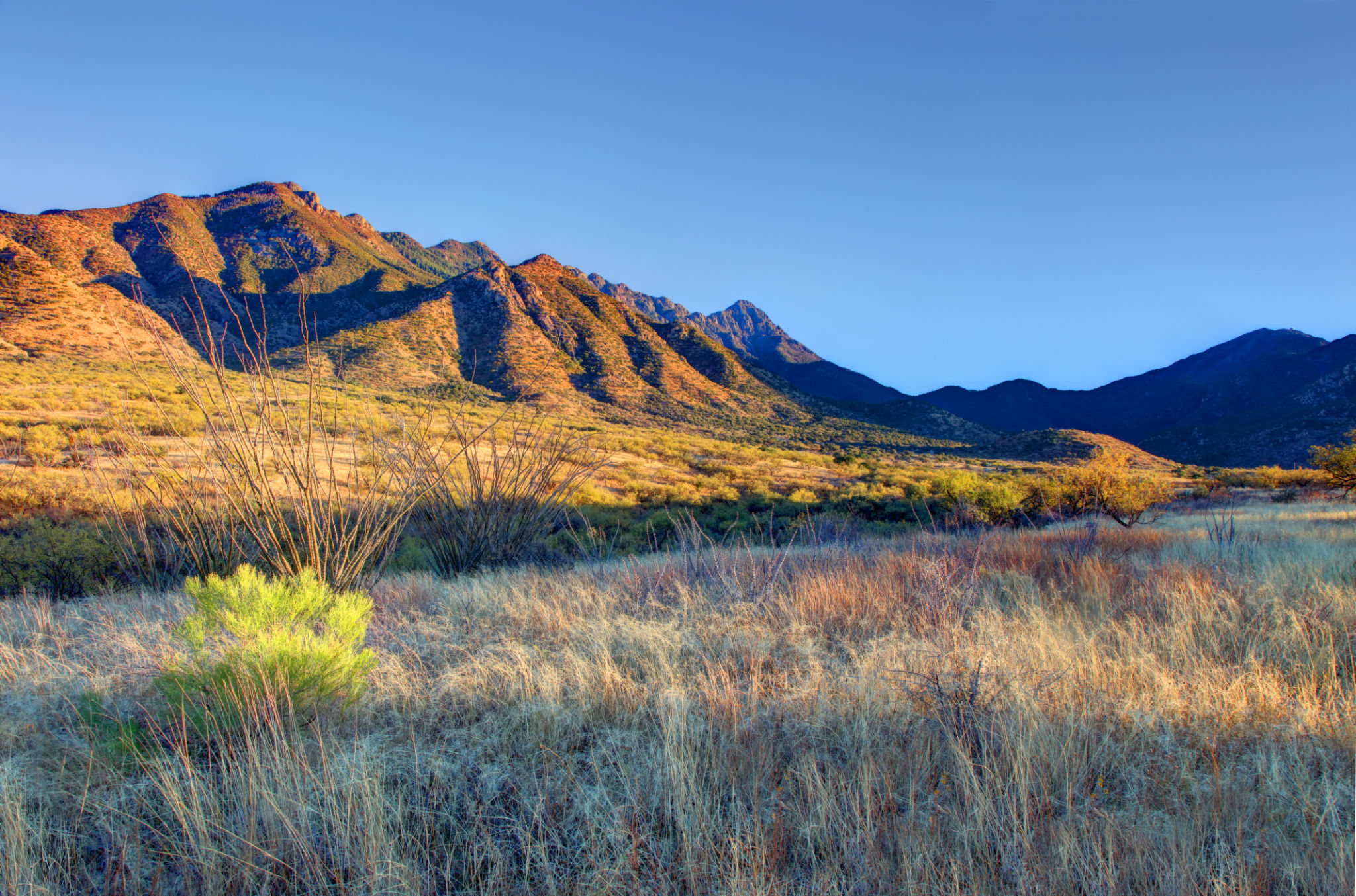 arizona winter