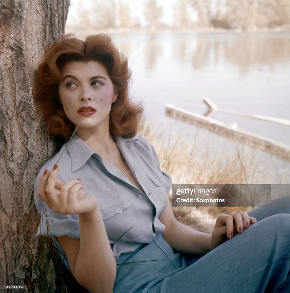 tina louise net worth