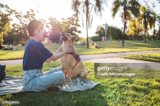 asian woman enjoying a sunny day outdoors with her dog in a park - dog walking stock pictures, royalty-free photos & images
