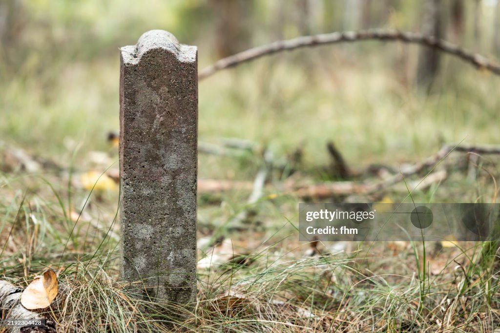 Milestone on a meadow