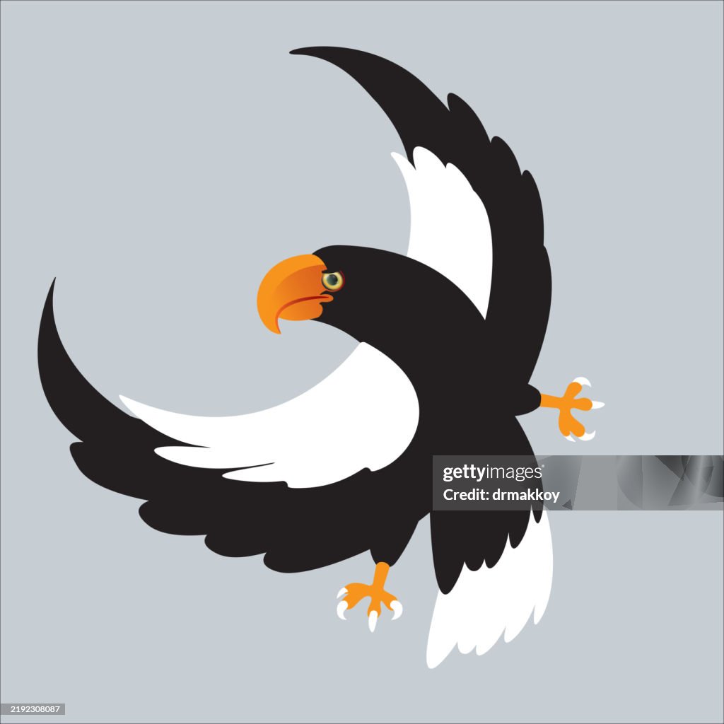 Steller's Sea Eagles in Hokkaido