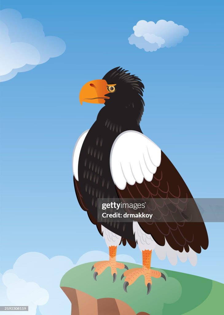 Steller's Sea Eagles in Hokkaido