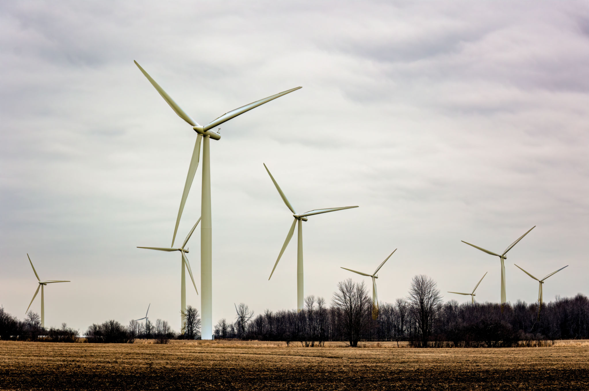 wind turbines farm