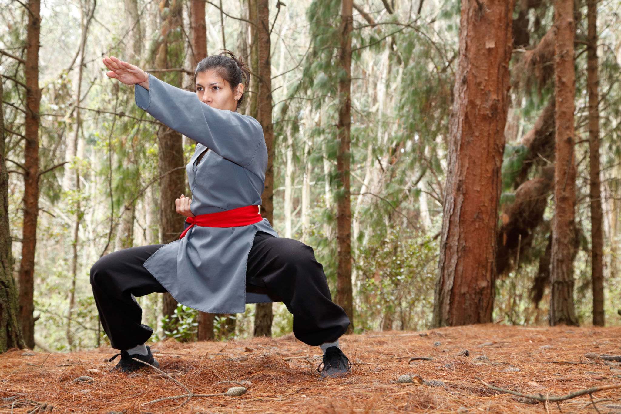 Wushu Kung fu red belt Wushu Kung fu red belt