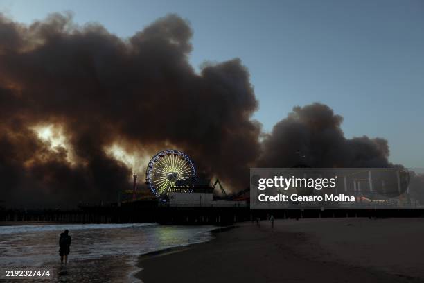 Cici keeps a watchful eye on the Pacific Palisades fire that burns several miles behind the Santa Monica Pier in Santa Monica on January 7, 2025.