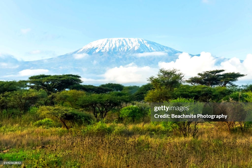 Mount Kilimanjaro Viewed From Amboseli National Park In Kenya High Res mount-kilimanjaro-viewed-from-amboseli-national-park-in-kenya-high-res