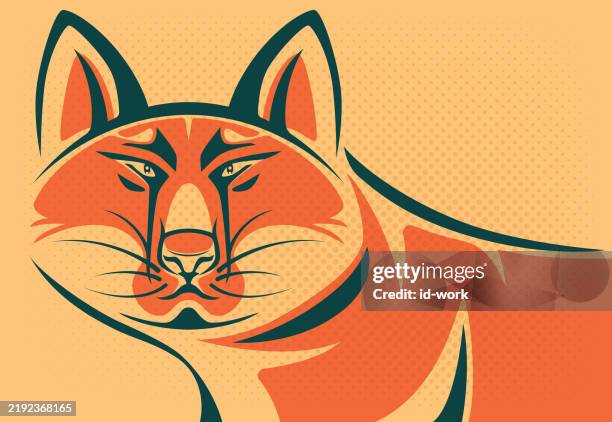 fox character - gray wolf stock illustrations