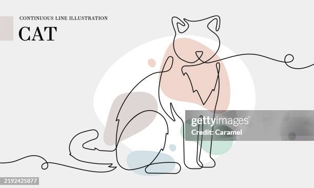 cat continuous line drawing with color shapes - cat line drawing stock illustrations