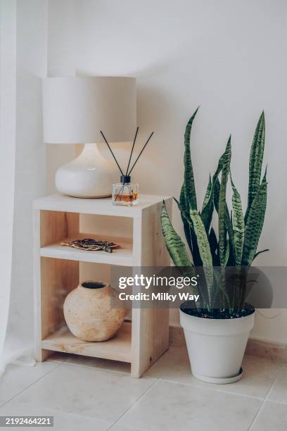 minimalist interior design with wooden shelf, lamp, and snake plant for tranquil living space decor. cozy home lifestyle atmosphere. aroma home. apartment decor. - aromatherapy diffuser stock pictures, royalty-free photos & images