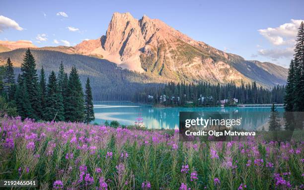 bright colors of the summer dusk - canadian sunset stock pictures, royalty-free photos & images