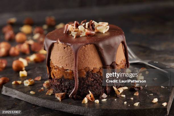 mousse de chocolate individual bolo de fudge de avelã - coberto de camada lustrosa - fotografias e filmes do acervo
