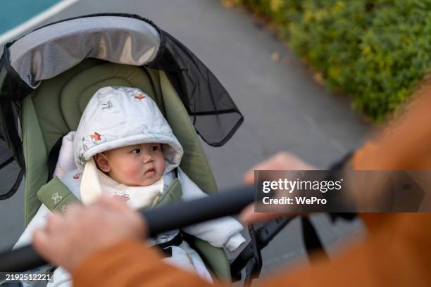 asian baby in a stroller, close-up of someone pushing the stroller - wagen getrokken door een dier stockfoto's en -beelden
