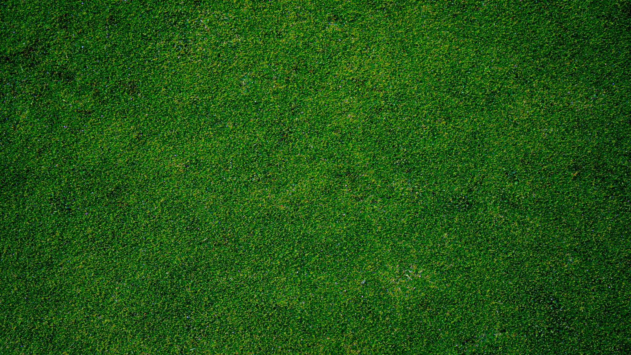 artificial grass closeup