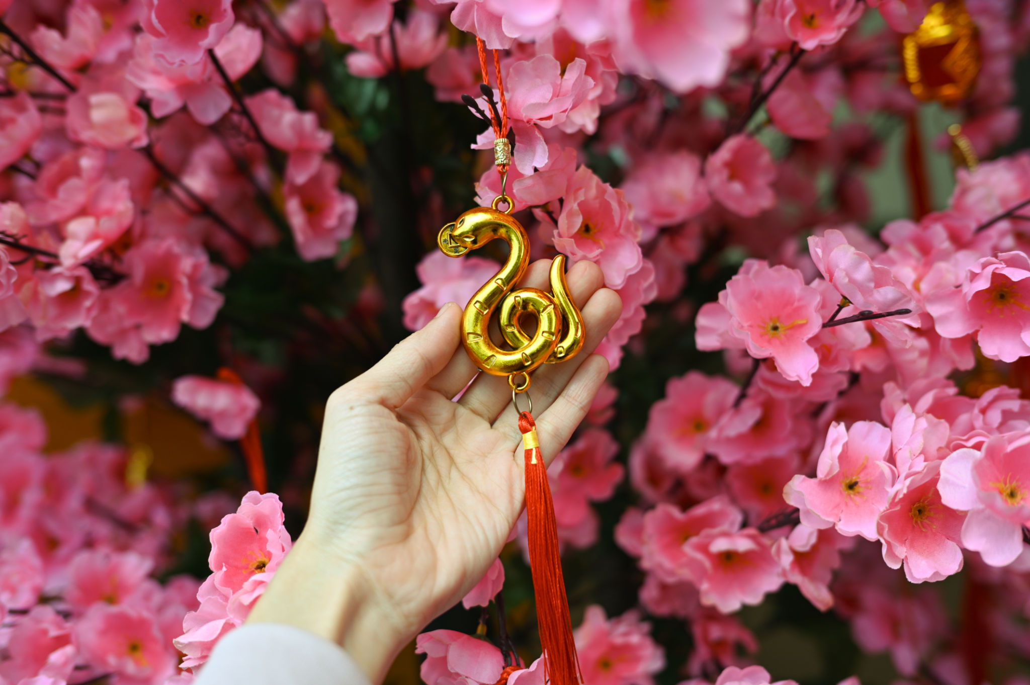 custom lanyard