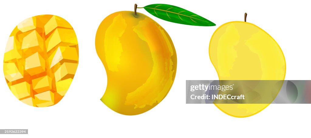 Mango fruit