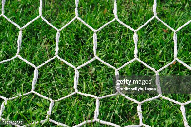 soccer goal with side-netting and grass background - netzgewebe stock-fotos und bilder