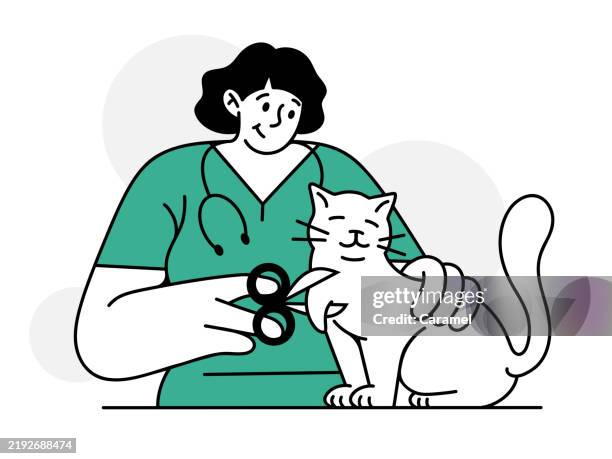 pet grooming illustration - cat grooming stock illustrations
