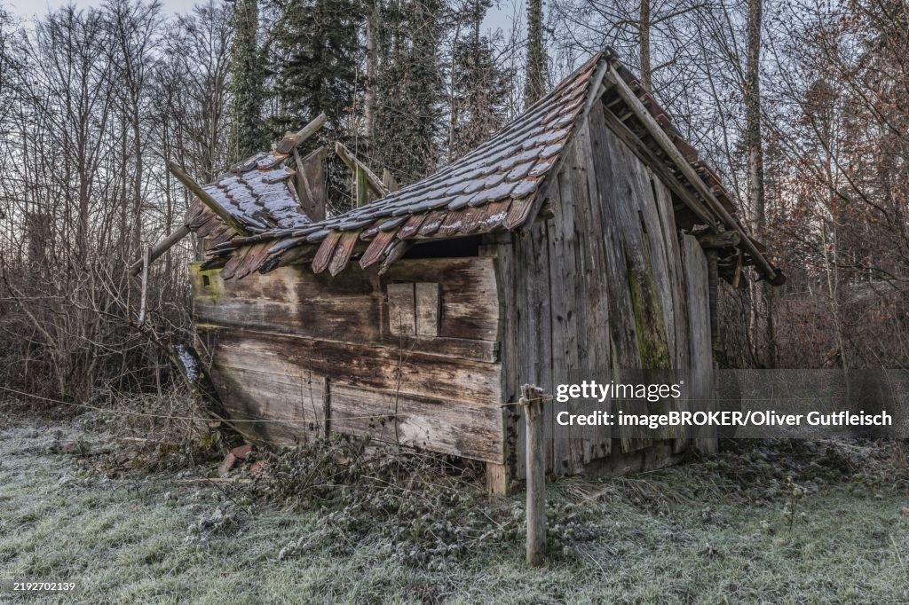 A small wooden hut that is falling apart and was once used for farming. Krumbach, Geuensee, Lucerne, Switzerland, Europe