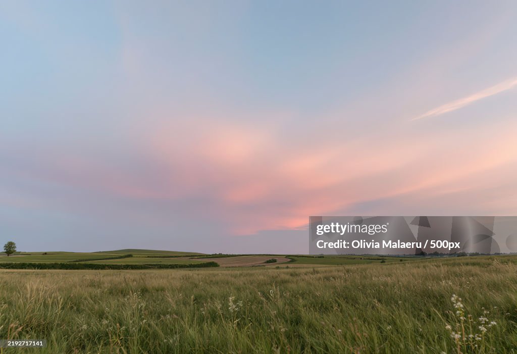 A dreamy landscape dominated by a pastel-colored sky