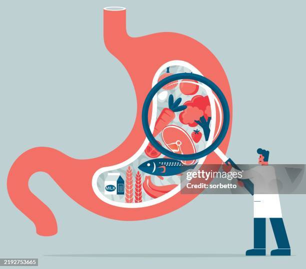 stomach - food quality control - product testing lab stock illustrations