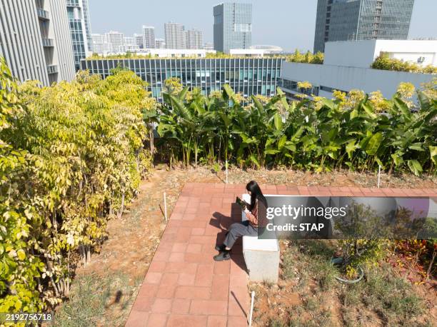 asian woman enjoying sunshine in rooftop garden, urban lifestyle - rooftop garden stock pictures, royalty-free photos & images